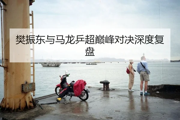 樊振东与马龙乒超巅峰对决深度复盘（NG28）
